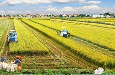 Logros impresionantes de Vietnam en reducción de pobreza 