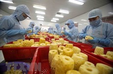 Crecen exportaciones hortofrutícolas de Vietnam en primeros cuatro meses de 2021