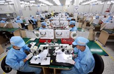 Crece demanda de fuerza laboral en Vietnam durante el primer semestre