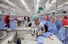 Meta de crecimiento económico: un gran desafío para Vietnam