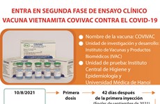 Entra en segunda fase de ensayo clínico vacuna vietnamita Covivac contra el COVID-19