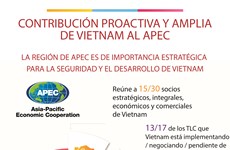 Contribución proactiva y amplia de Vietnam al APEC