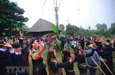 Celebran festival de primavera an Aldea de Cultura y Turismo de Etnias Minoritarias de Vietnam