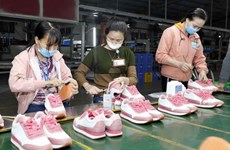 Vietnam representa más del 10 por ciento mundial de las exportaciones de calzado