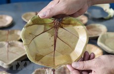 Platos ecológicos elaborados con uva marina de provincia vietnamita de Phu Yen