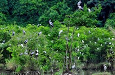 Intentan mejorar conservación de biodiversidad en Vietnam