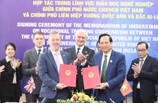 Educación vocacional, otro punto de cooperación entre Vietnam y Reino Unido
