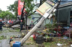 Tifón Noru provoca cuantiosos daños en localidades centrovietnamitas
