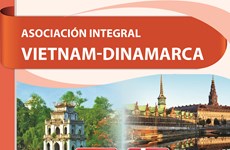 Relaciones de asociación integral entre Vietnam y Dinamarca 