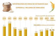 Exportación de arroz de Vietnam en 2020 superó 6,1 milones de toneladas