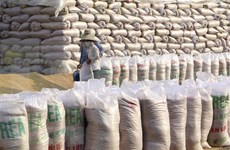 Vietnam conservará segundo puesto como exportador mundial de arroz