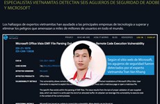 Especialistas vietnamitas detectan seis agujeros de seguridad de adobe y microsoft