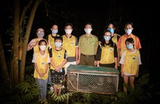 Noche del Festival del Medio Otoño en el parque nacional Cuc Phuong: Liberan animales salvajes