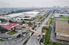Bulle nuevamente actividad en parques industriales de Ciudad Ho Chi Minh