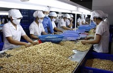 Incentivos fiscales del tratado con UEE impulsan exportaciones agrícolas de Vietnam