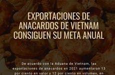 Exportaciones de anacardos de Vietnam consiguen su meta anual