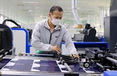 Innovación: Forma una nueva generación de empresas en Vietnam