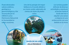 Bahía de Ha Long y túneles de Cu Chi entre los destinos más atractivos en Sudeste Asiático