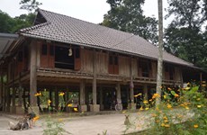 Palafitos antiguos de cientos de años en provincia centrovietnamita de Nghe An