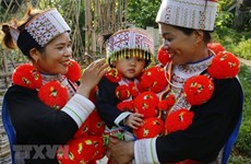 Preservan la belleza de trajes tradicionales de étnia Dao rojo en provincia de Yen Bai
