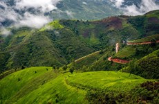 Vietnam persigue camino "verde" por un futuro sostenible