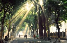 Hanoi entre destinos más bellos del mundo en otoño boreal, según CNN Travel