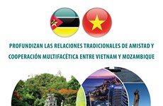 Profundizan las relaciones tradicionales de amistad y cooperación multifacética entre Vietnam y Mozambique