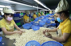 Exportaciones de Vietnam superan 250 mil millones de dólares