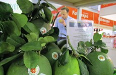 Pomelos frescos vietnamitas ingresarán oficialmente a Estados Unidos 