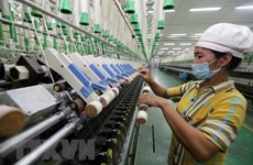 Vietnam busca nuevos motores de crecimiento en medio de fluctuaciones globales 