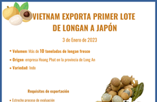 Vietnam exporta primer lote de longan a Japón