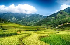 Promulgan seis resoluciones de Partido vietnamita sobre desarrollo regional 