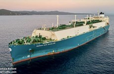 Grupo vietnamita recibe primer barco transportador de gas natural licuado