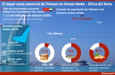  El mayor socio comercial de Vietnam en Oriente Medio - África del Norte