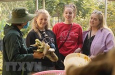 Turismo de naturaleza multiplica atractivos de centro de conservación de osos en Vietnam