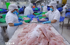 Vietnam pertenece al grupo de mayores exportadores de productos acuáticos en el mundo 