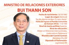 Bui Thanh Son, Ministro de Relaciones Exteriores de Vietnam