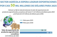 Sector agrícola de Vietnam esperar lograr exportaciones por casi 50 mil millones de dólares para 2025