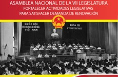 Asamblea Nacional de la VII Legislatura