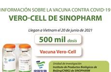 Información sobre la vacuna contra COVID-19 VERO-CELL de SINOPHARM