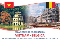 Relaciones Vietnam-Bélgica se desarrollan constantemente