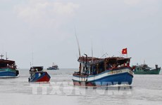 Comunidad pesquera vietnamita se esmera en combatir la pesca ilegal