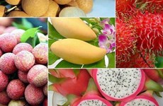 Vietnam ingresará más de cinco mil millones de USD por exportación de frutas para 2025