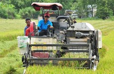 Alemania ayuda a aumentar competitividad de cadenas de valor agrícolas en Delta del Mekong
