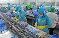 Vietnam registra repunte en exportaciones de pangasius