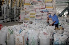Buenas señales para exportación de arroz de Vietnam en 2023