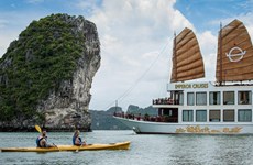 Comunicación digital contribuye a recuperar el turismo de Vietnam en 2022