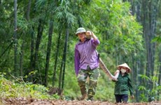 Desarrollan cadena de valor sostenible de almeja y bambú en Vietnam