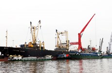 Prevén nueva ola de inversión extranjera en el delta del Mekong