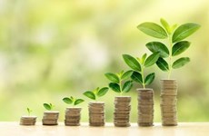 Vietnam necesita institución financiera especializada para recibir inversiones verdes